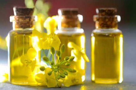 Picture for category Canola Oil